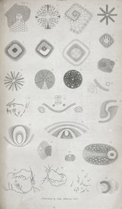 Planche II de 